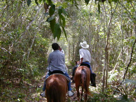 Horseback riding